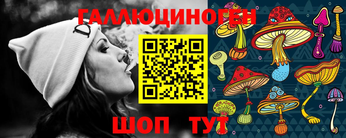 Гусиноозёрск  Галлюциногенные грибы Psilocybe  Вход с VPN 